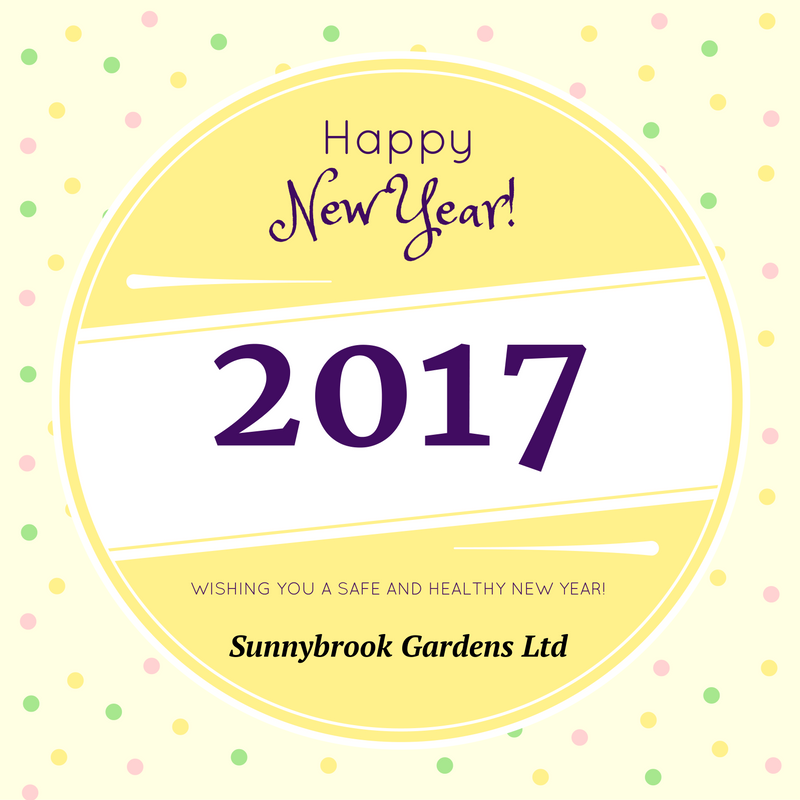 Happy New Year! Wishing you a safe and healthy 2017!