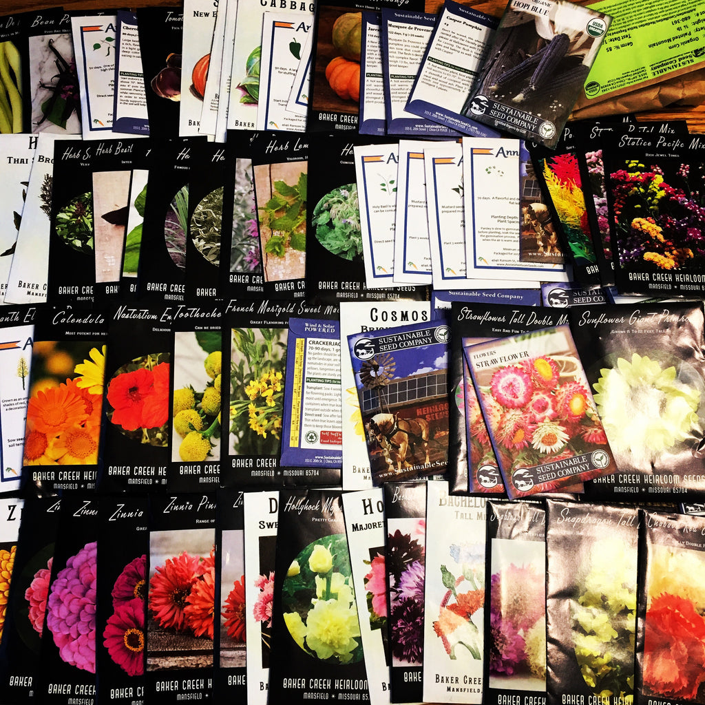 Seeds of happiness!  Joyful planning for spring!