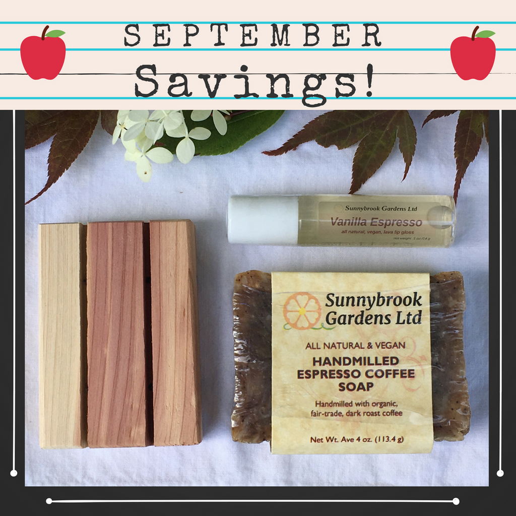 September Savings have arrived in our latest Monthly Promotion Gift Box!