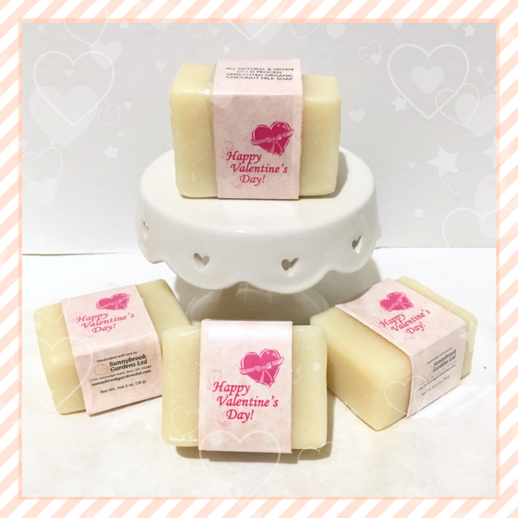 Valentines Day Cold Process Unscented Organic Coconut Milk Guest Soaps