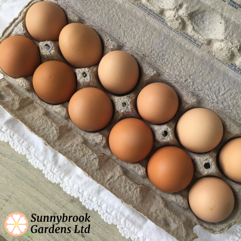 Enjoy Fresh Eggs from our chickens to your table!  Local pickup only in Brimfield, Ohio 44240